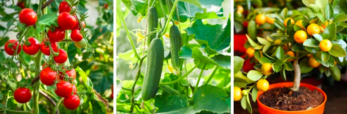 Snímka obrazovky 2026-03-16 o 19.34.17